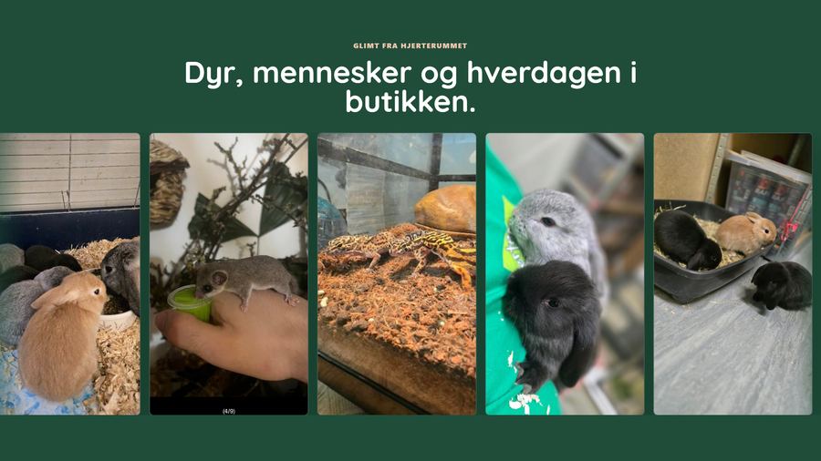 Hjerterummet &mdash; galleri fra butikken